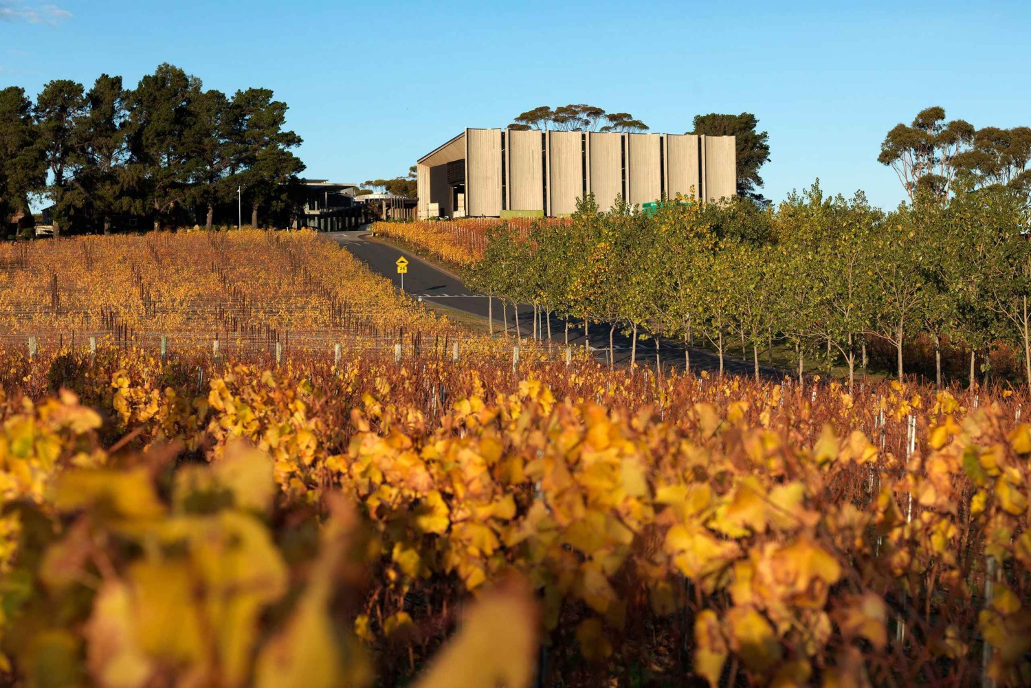 Hobart: Moorilla's Wine + Art at Mona by Boat