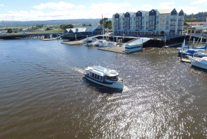 Launceston: 50-Minute Cataract Gorge Cruise