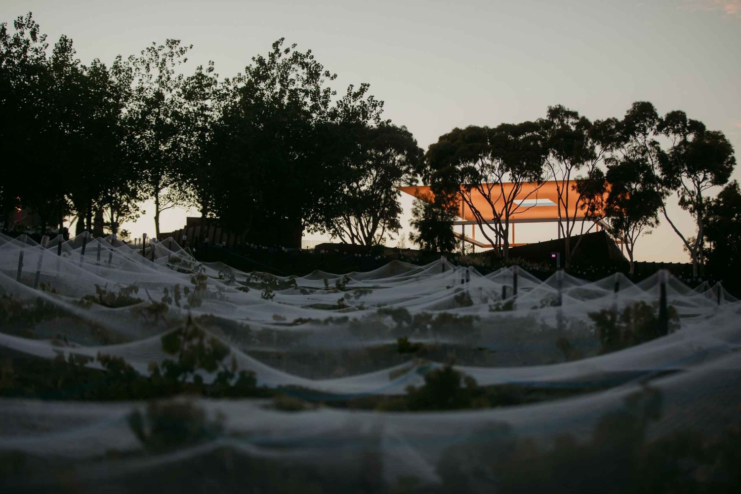 Moorilla's Big Day Out at Mona - Wine Tasting and Lunch