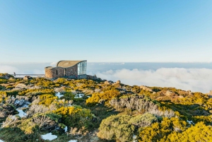 Hobart: Mt Wellington, Mt Field, Bonorong and Richmond Trip