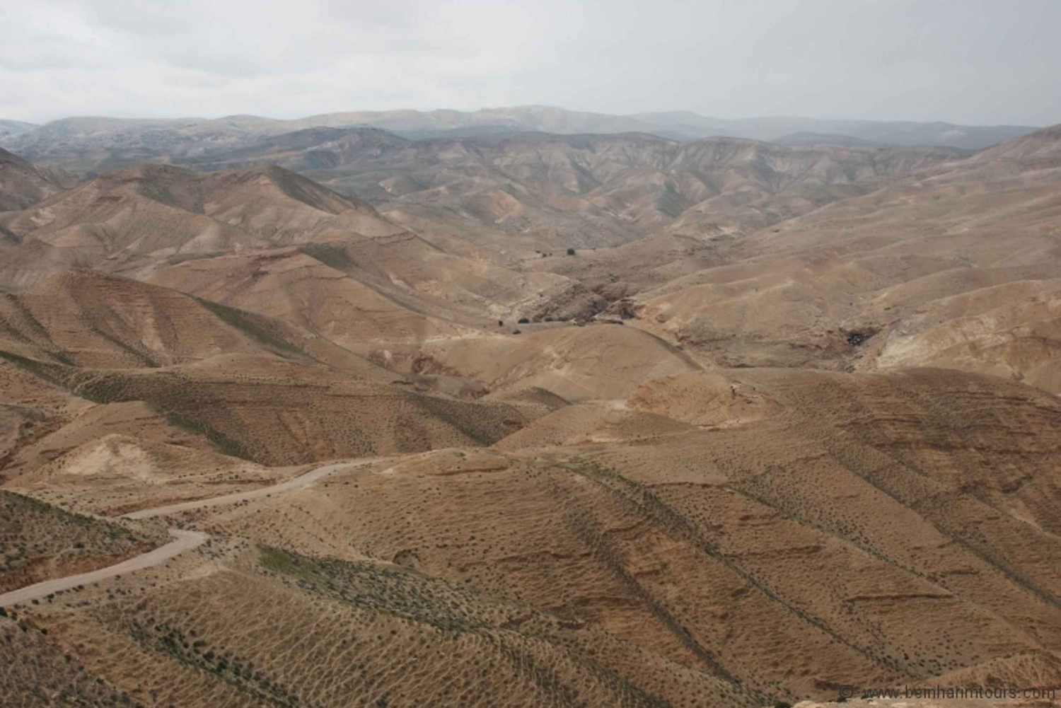 テルアビブ発：死海観光と砂漠サファリ