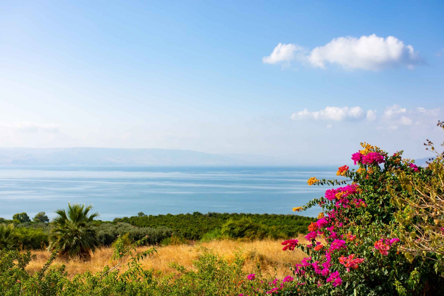 From Tel Aviv: Galilee Day Tour