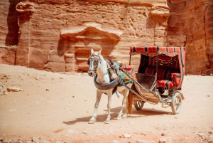 テルアビブ発：ペトラ 1 日ガイド付きツアー（送迎付き）