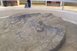 アシュドッド港発クルーズ船向け マサダ＆死海 終日ツアー