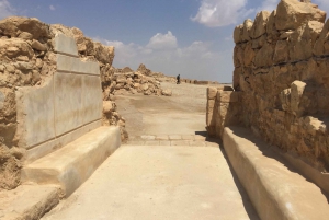 アシュドッド港発クルーズ船向け マサダ＆死海 終日ツアー