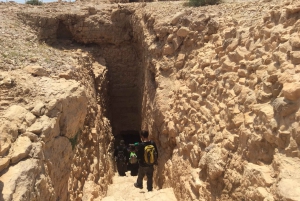 アシュドッド港発クルーズ船向け マサダ＆死海 終日ツアー