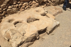 アシュドッド港発クルーズ船向け マサダ＆死海 終日ツアー