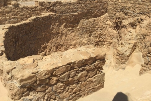 アシュドッド港発クルーズ船向け マサダ＆死海 終日ツアー