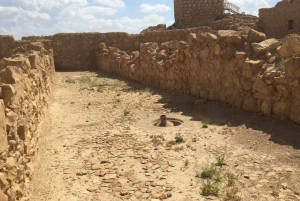 アシュドッド港発クルーズ船向け マサダ＆死海 終日ツアー