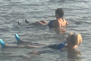 アシュドッド港発クルーズ船向け マサダ＆死海 終日ツアー