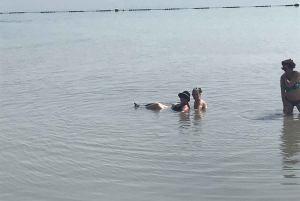 アシュドッド港発クルーズ船向け マサダ＆死海 終日ツアー