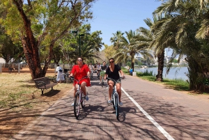 Tel Aviv 3-Hour Easy Bike Tour