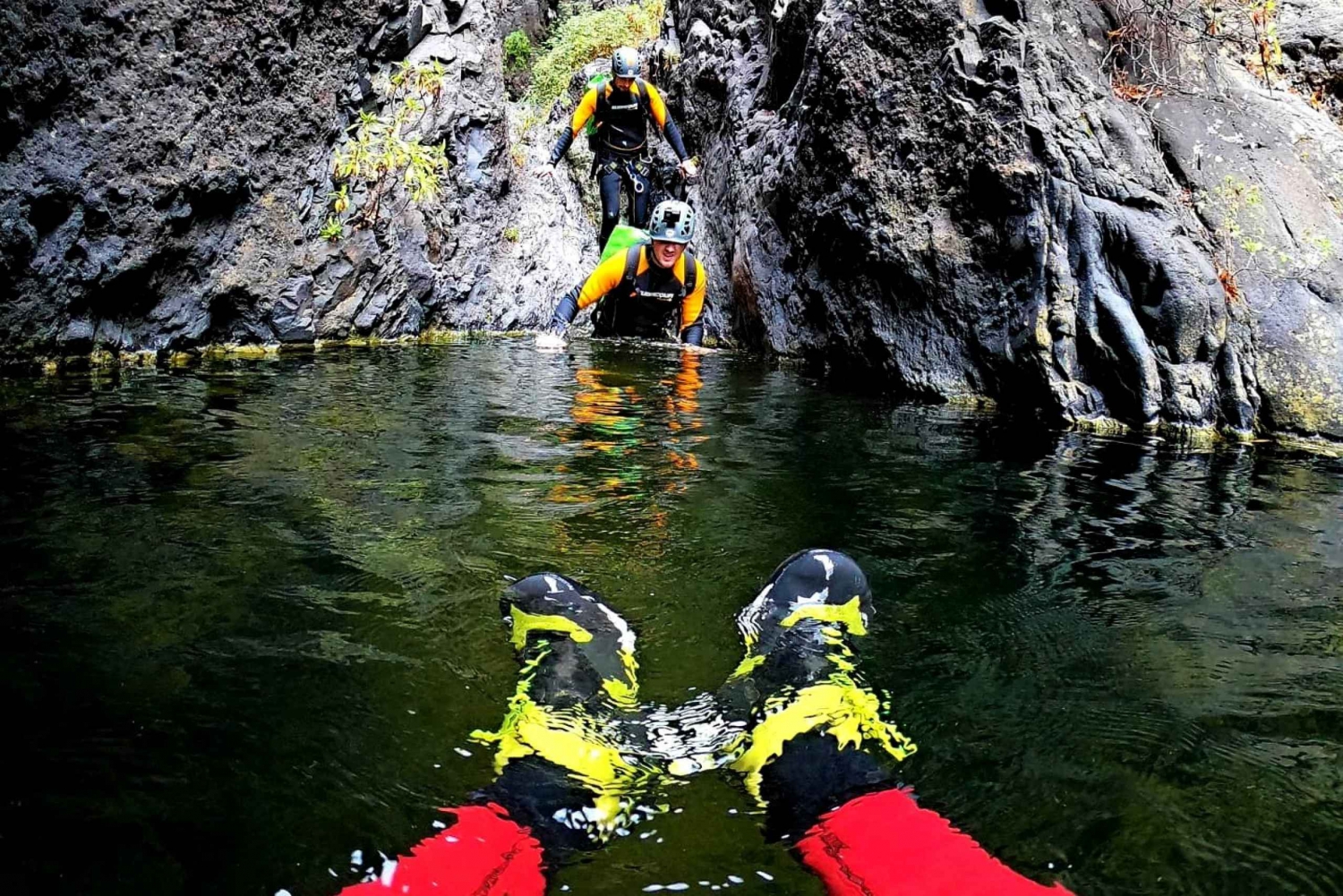 Tenerife: Los Carrizales Water Canyoning Tour