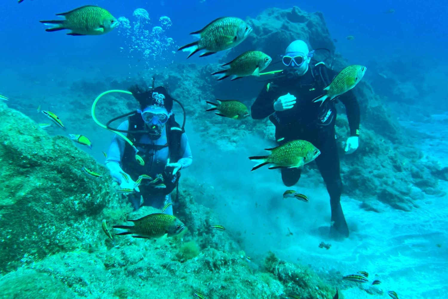 Diving course for beginners in turtle area Tenerife