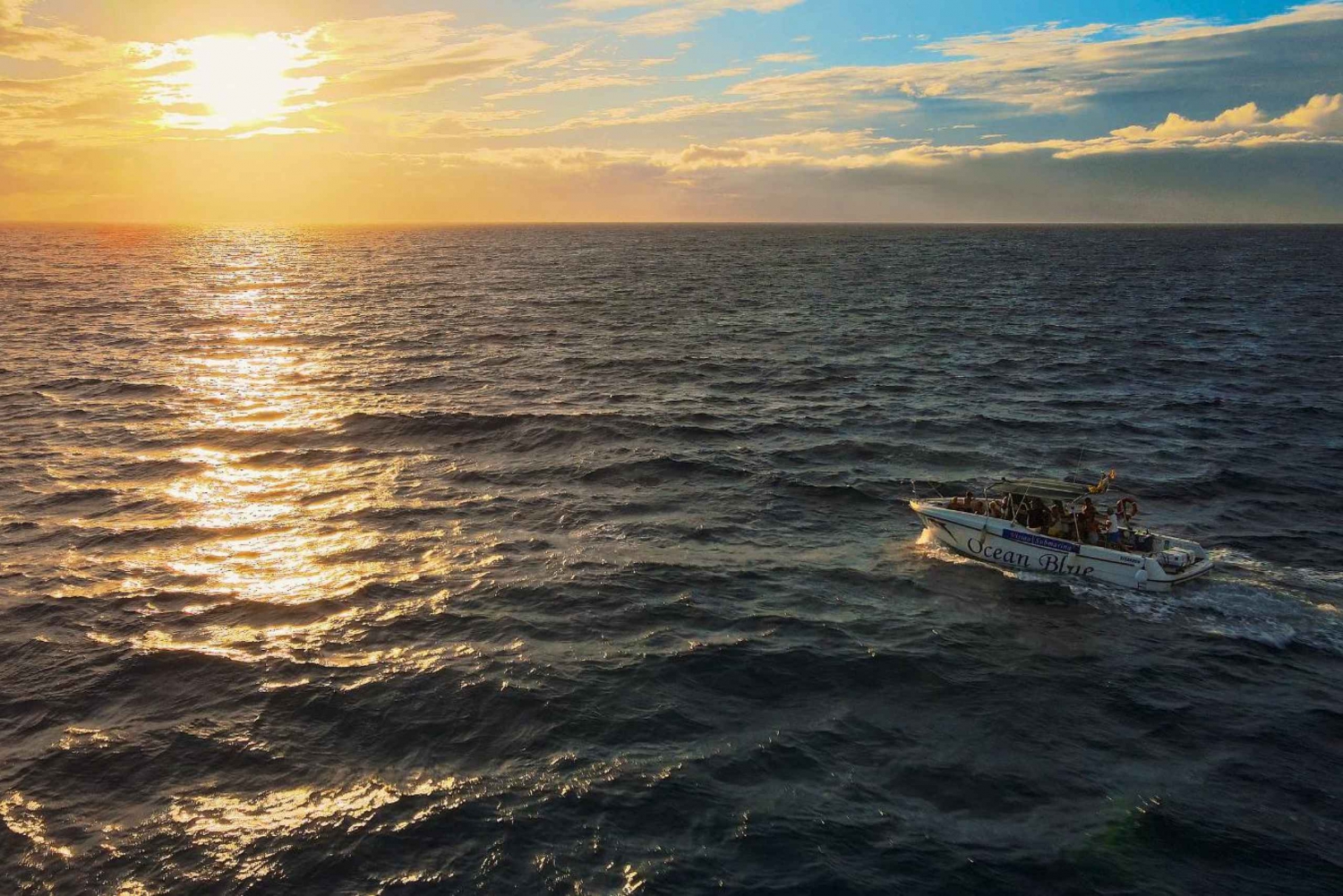 Costa Adeje: Whale and Dolphin-Watching Boat Excursion