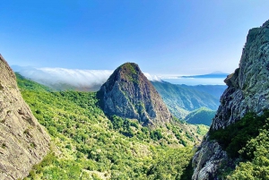 С юга Тенерифе: однодневная поездка на Ла Гомеру с трансферами