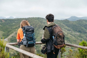 Vom Süden Teneriffas: Tagestour zur Insel La Gomera mit Mittagessen