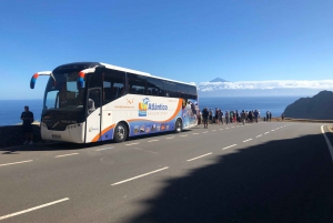 De Tenerife: Visita guiada a La Gomera com ingresso para o ferry