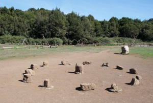 De Tenerife: Visita guiada a La Gomera com ingresso para o ferry