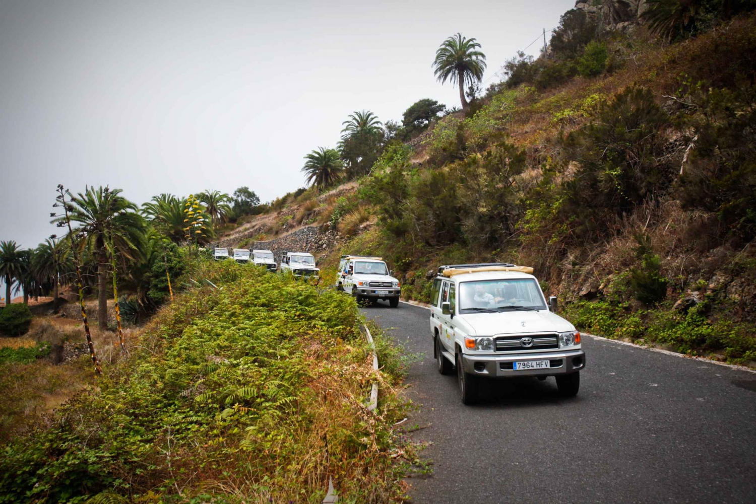 Excursión de un día en jeep por la Gomera desde Arona
