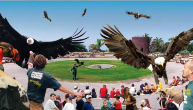 Jungle Park Las Aguilas