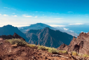 La Palma: Excursión guiada en autobús por lo más destacado de la isla