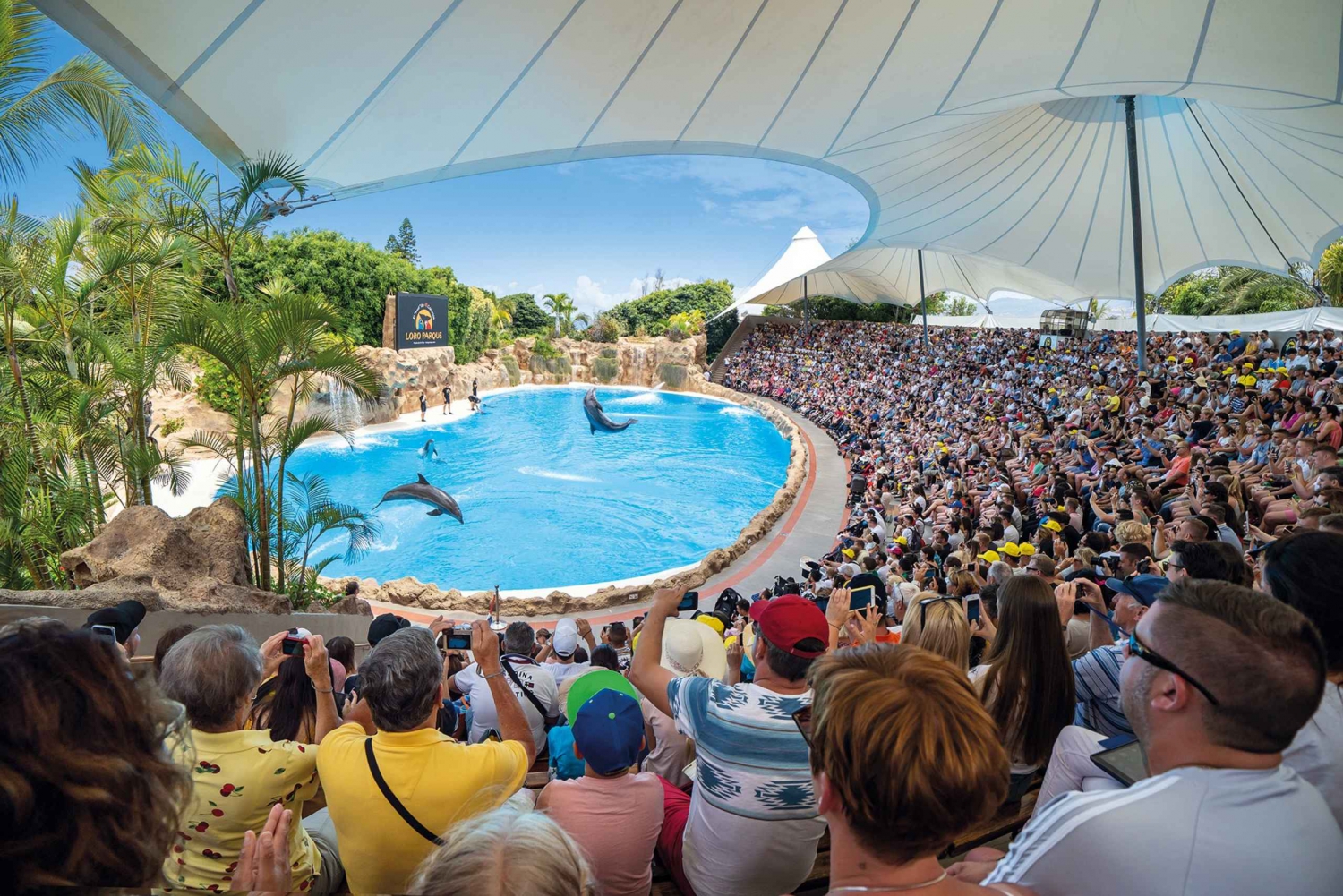 Tenerife: Loro Parque Entry Ticket