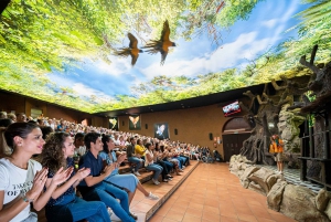 Tenerife: Ingresso para o Loro Parque