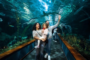 Tenerife: Ingresso para o Loro Parque