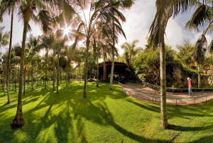 Tenerife: Ingresso para o Loro Parque