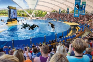 Tenerife: Ingresso para o Loro Parque