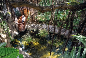 Tenerife: Ingresso para o Loro Parque