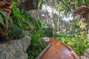 Tenerife: Ingresso para o Loro Parque