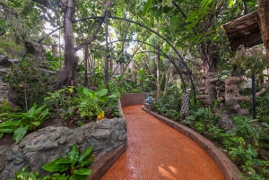 Tenerife: Ingresso para o Loro Parque