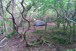 Santa Cruz de Tenerife: 2-stündige Wandertour im Anaga-Wald