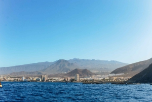 Tenerife: Jet Ski Tour with Optional Quad Trip