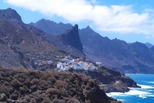 Tenerife: viagem privada de um dia a Taganana e Anaga com embarque