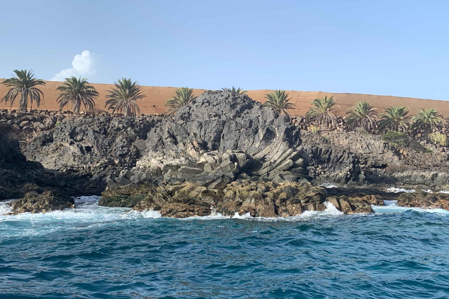Tenerife: Underwater Lava Tongues Snorkel Excursion
