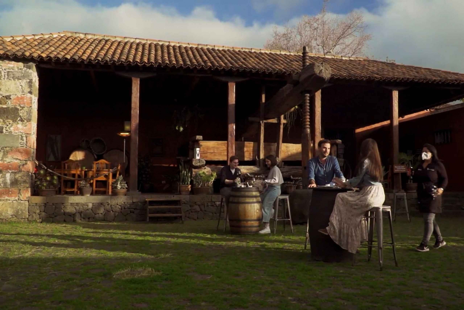 Tenerife: Ticket de entrada al Museo del Vino con degustación de vinos locales y gastronomía