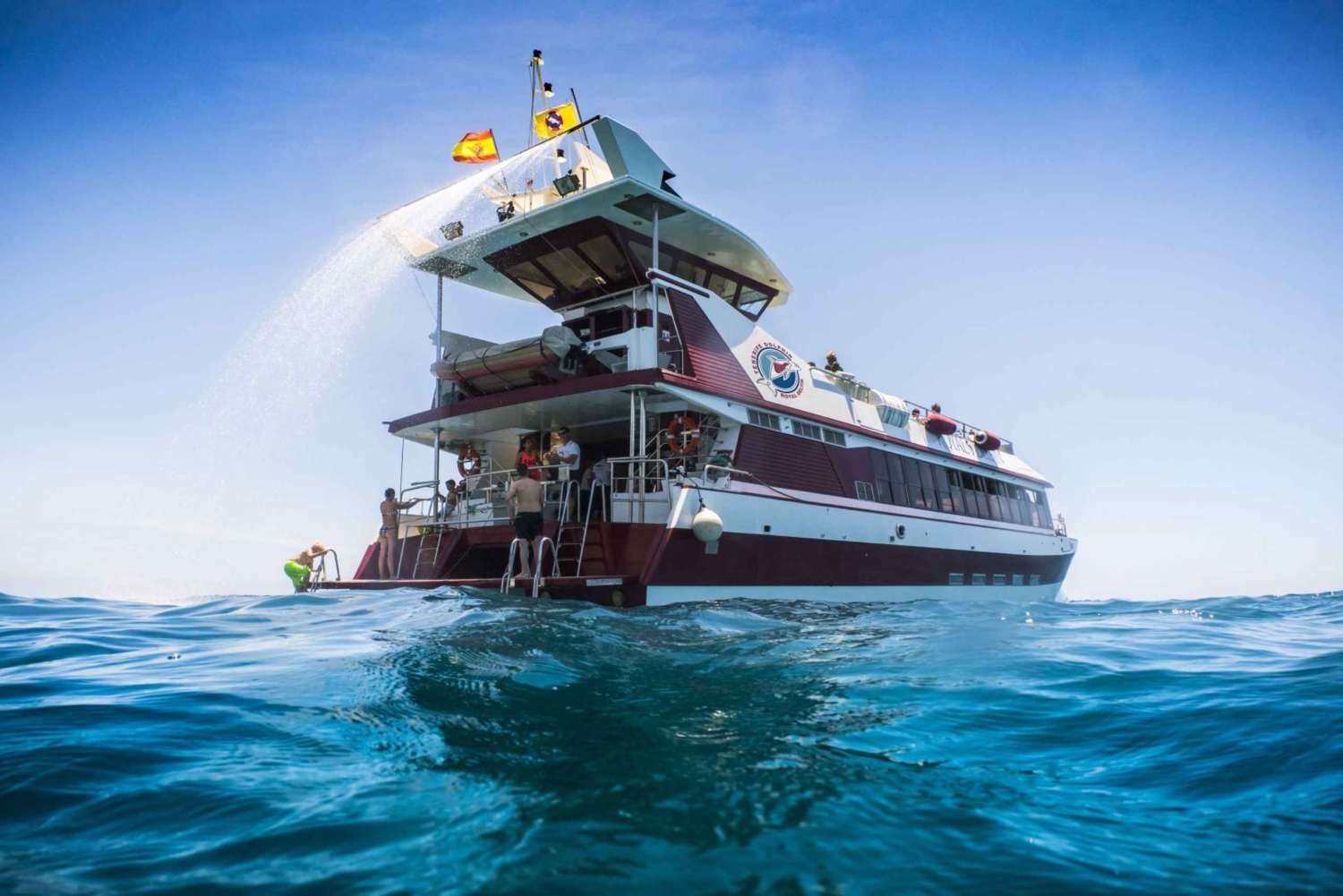 Adeje: Whale and Dolphin Watching Cruise with Lunch and Swim