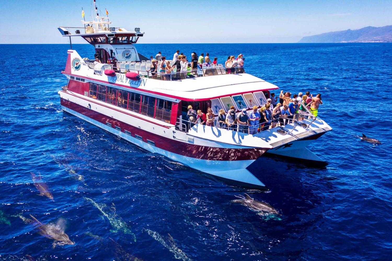 Costa Adeje: Whale & Dolphin Submarine Vision Mini Cruise