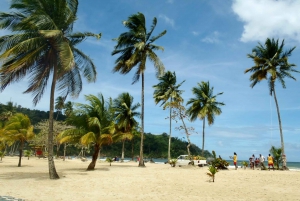Maracas: Dagsudflugt til Maracas Beach fra Port of Spain