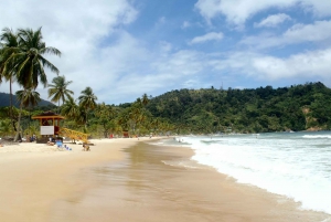 Maracas: Day Trip to Maracas Beach from Port of Spain