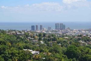 Port of Spain and Fort George Sightseeing Tour