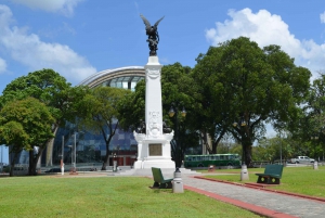 Port of Spain and Fort George Sightseeing Tour