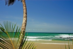 Port of Spain: Kysttur i Trinidad