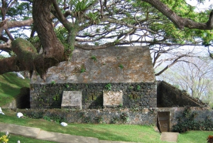 Tobago: Halvdagstur med høydepunkter
