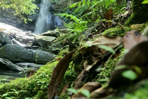 Trynidad: Wycieczka do wodospadu Avocat i na plażę Maracas Bay
