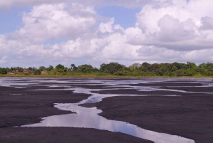 Trinidad: Pitch Lake and Chaguanas Sightseeing Tour