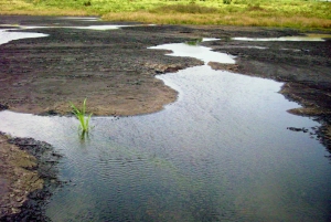 Trinidad: Pitch Lake and Chaguanas Sightseeing Tour